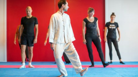 Tai chi workshop gemeente Den Bosch